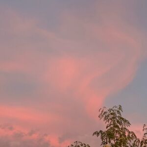 Meet your Posher, Sophia